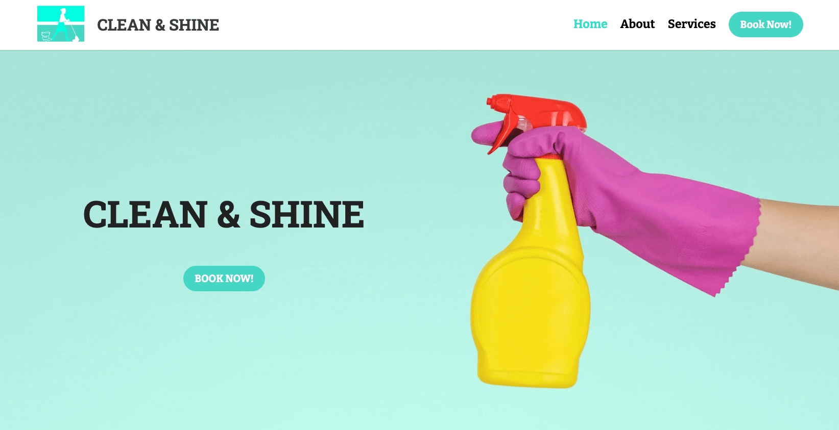 null Clean & Shine Template: Service Business Idea